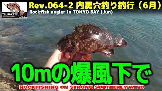 Rev.64-2 【千葉内房穴釣り】10m暴風の中、鋸南の人気堤防で根魚を釣る