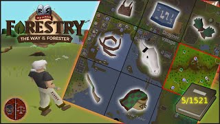 Using Runescape's BEST Woodcutting and QOL Updates to Their Fullest Potential | Logging Chunks 2