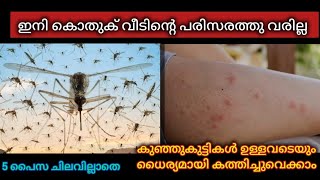 ഇനി കൊതുക് വീടിന്റെ പരിസരത്ത് കൂടെ വരില്ല/How to get rid of mosquitos