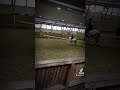 menin eilen arielil😍🫶🏻 se oli kyl tosi ihana ite en osannu ridaa👹🤗 equestrian horse edit fazuto4k