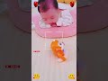 cute babies laughing🤓 shorts baby babyvideos