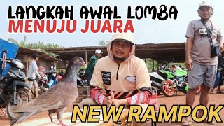 TAHAPAN LOMBA MERPATI JUARA!!!