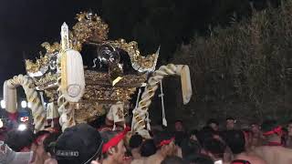 2019松原八幡神社本宮⑤