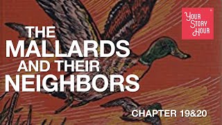 The Mallards and Their Neighbors - Chapters 19 \u0026 20