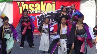 岩国よさこい連　『姫竜』　２０１７　YOSAKOIぶち楽市民祭　みずほ銀行前会場