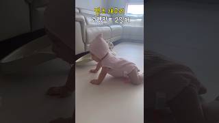 기어다니기전 연습단계 갈까말까 갈까말까😄😄😄😄#shorts #baby #쇼츠 #아기 #육아