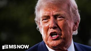 'Every single taxpayer is being robbed': Trump goes too far with money grab for criminal allies