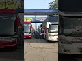 GUMARANG JAYA MAUNJUA CLASS STAR BOGOR #bussumbar #terminalbaranangsiang #shortsyoutube