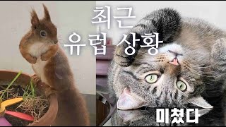 독일생활 20년차 현지인이 바라본 유럽 현재 상황