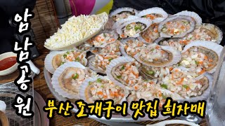 개인적으로 가장 만족스럽던 부산 조개구이 맛집 암남공원 희자매 / EP:2