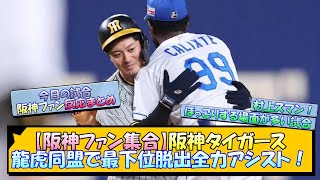 【阪神ファン集合】阪神タイガース、龍虎同盟で最下位脱出全力アシスト！【なんJ 阪神ファン 反応 まとめ】【プロ野球ニュース】