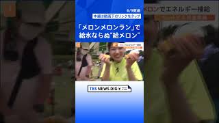 疲れたランナーを出迎えるのは「給水所」ではなく“給メロン所”　日本一のメロンの産地でメロンメロンラン開催　茨城・水戸市｜TBS NEWS DIG #shorts