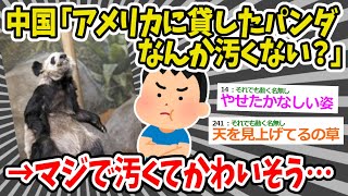 【2chまとめ】中国「アメリカに貸したパンダなんか汚くない？」→マジでみすぼらしくてかわいそう…【ゆっくり】