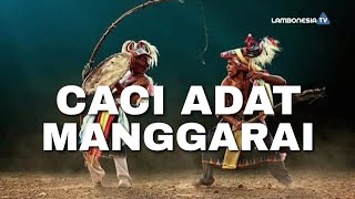 Caci Adat Manggarai Ruteng Ntt 2020 Terbaru