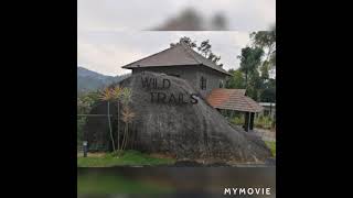 Honeymooners Paradise in Munnar..The Wild Trail Resort, Viripara, Munnar (Top Reviewed)