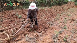 丈夫早逝，農村婦女把6個孩子撫養成人，60多歲還在用牛犁地！ 【大山面貌】