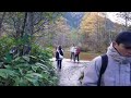 walk through the beautiful autumn leaves of kamikochi. recommended 5 hour course.