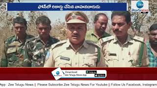 Tigers Wandering At Adilabad District | గొల్లఘాట్ శివారు లో పులుల సంచారం | ZEE Telugu News