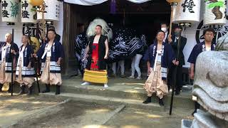 令和四年長井市成田　八幡神社春大祭出獅子🦁#長井市 #黒獅子 #長井黒獅子#山形祭り