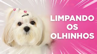 LIMPEZA dos Pelos Abaixo dos OLHOS! Como eu Faço?