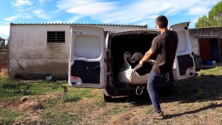 Cargando estiércol para abonar el huerto 💩