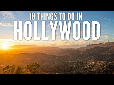 What can you do in Hollywood for a day?