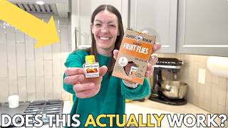How to Get Rid of Fruit Flies Fast | Super Ninja Trap Test