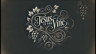 John 15 \u0026 16 (NIV) - The True Vine, The Holy Spirit, and Jesus’ Teachings | Bible Study