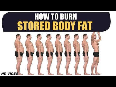 How to Burn STORED BODY FAT - Deep Information by Guru Mann How to Burn STORED BODY FAT - Deep Information by Guru Mann
