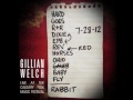 Gillian Welch 14 White Rabbit