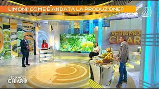 Vediamoci chiaro (TV2000), 16 aprile 2024 - Tutti i segreti del limone