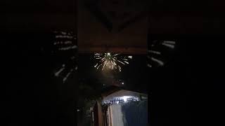 Fireworks display (Jan 1, 2019)