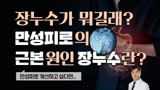 장누수가 만성피로의 중요한 원인이라고!?