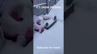 #vlogmas #day #three | #snow #day | #cold #weather 🥶💙 | #christmas #time 🎄 | #snowman #season ☃️