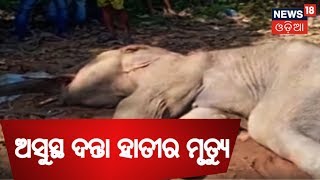 Cuttack: ଅସୁସ୍ଥ ହାତୀର ମୃତ୍ୟୁ,ଗୁରୁତର ଅବସ୍ଥାରେ ଦନ୍ତା ହାତୀର ଚିକିତ୍ସା ବେଳେ ମୃତ୍ୟୁ ଘଟିଛି |