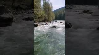 Rafting the Sauk #shorts #rafting #whitewater #wilderness #outdoors #pnw