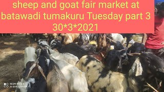 #agrianimals #the sheep and goat fair market at batawadi kyatsandra tumakuru district Tuesday part 3