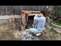 【悲報】猫が鶏小屋周辺をうろつくようになりました…【鶏飼育】 19話目