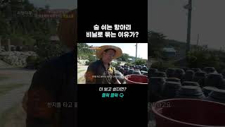 숨 쉬는 항아리 비닐로 묶는 이유가? | 리얼다큐 숨