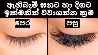 ඇහිබැමි ඝනට දිගට වවාගන්න ඉක්මන් සරල ක්‍රම 05 ක් Tips to grow eyelashes fast \u0026 thick - Sonduru Diviya