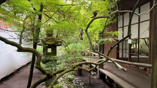 Japanese garden in Finland|Japanilainen puutarha Suomessa, フィンランドの日本の公演 | Pinoy in Finland