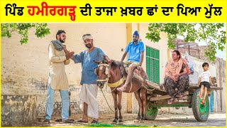 ਪਿੰਡ ਹਮੀਰਗੜ੍ਹ ਦੀ ਤਾਜਾ ਖ਼ਬਰ ਛਾਂ ਦਾ ਪਿਆ ਮੁੱਲ  | Punjabi News | New Comedy Video 2022