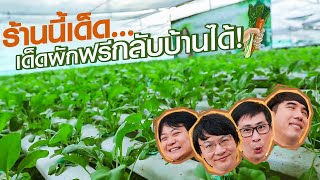 เก็บผักฟรีกลับบ้านได้ !! แถมร้านนี้ปลูกผักเอง🥬 By Balance Oat Milk - เพื่อนกินข้าว