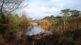 Robert Farnon - The Lake of the Woods.