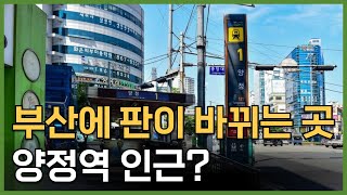 부산에 판에 바뀌는 곳이 여기라고? 역대급 재개발 인근 투자 유망지역 분선