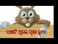 panchhati thile musha chua ପାଞ୍ଚଟି ଥିଲେ ମୂଷା ଛୁଆ