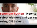 Selenium Python - How to select element and get text using CSS Selector