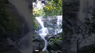 #lowerkodayar #kodayardam #kodayar falls #kuttiyar #pechipparai #kanyakumari #kumarifalls #kuttiyarf