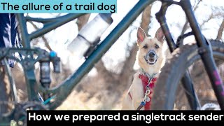 The Allure of a Trail Dog: Preparing a Singletrack Sender