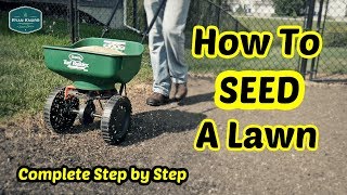 How To Seed a Lawn - Complete Step By Step Guide